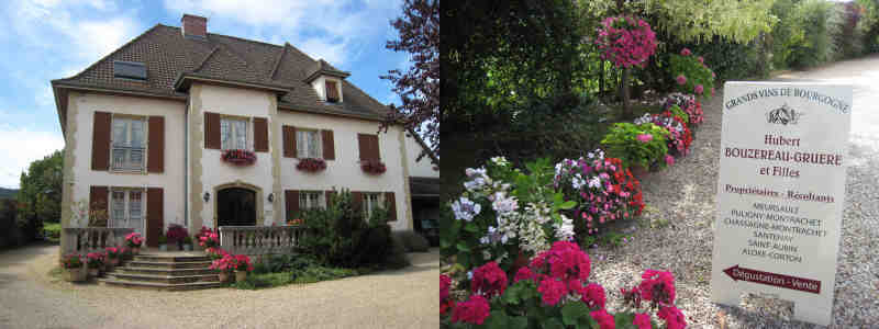 L'accueil au Domaine à MEURSAULT.JPG